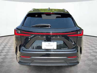 2023 Lexus NX NX 250