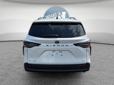 2026 Toyota Sienna XLE 7 Passenger