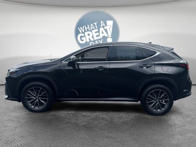 2023 Lexus NX 350 Premium