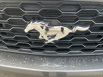 2017 Ford Mustang V6