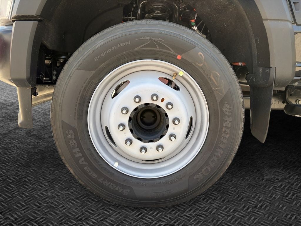 2026 Ford F-600SD XL DRW 4x2 / 7.3L V8 / 11'7" Steel Dump