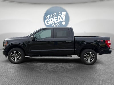 2023 Ford F-150 XL