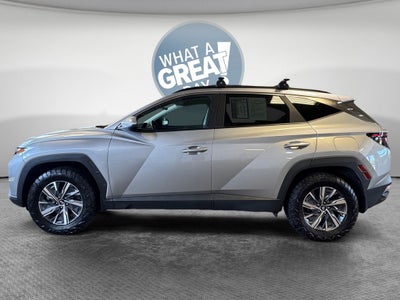 2024 Hyundai Tucson Hybrid Blue