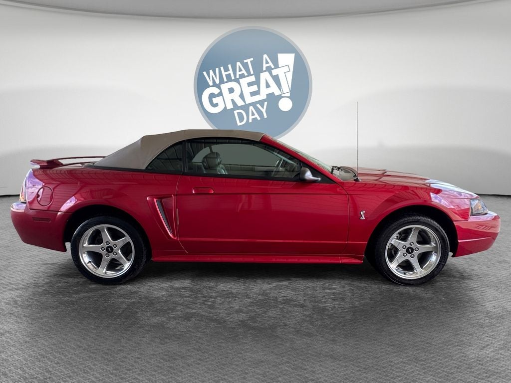2001 Ford Mustang Cobra