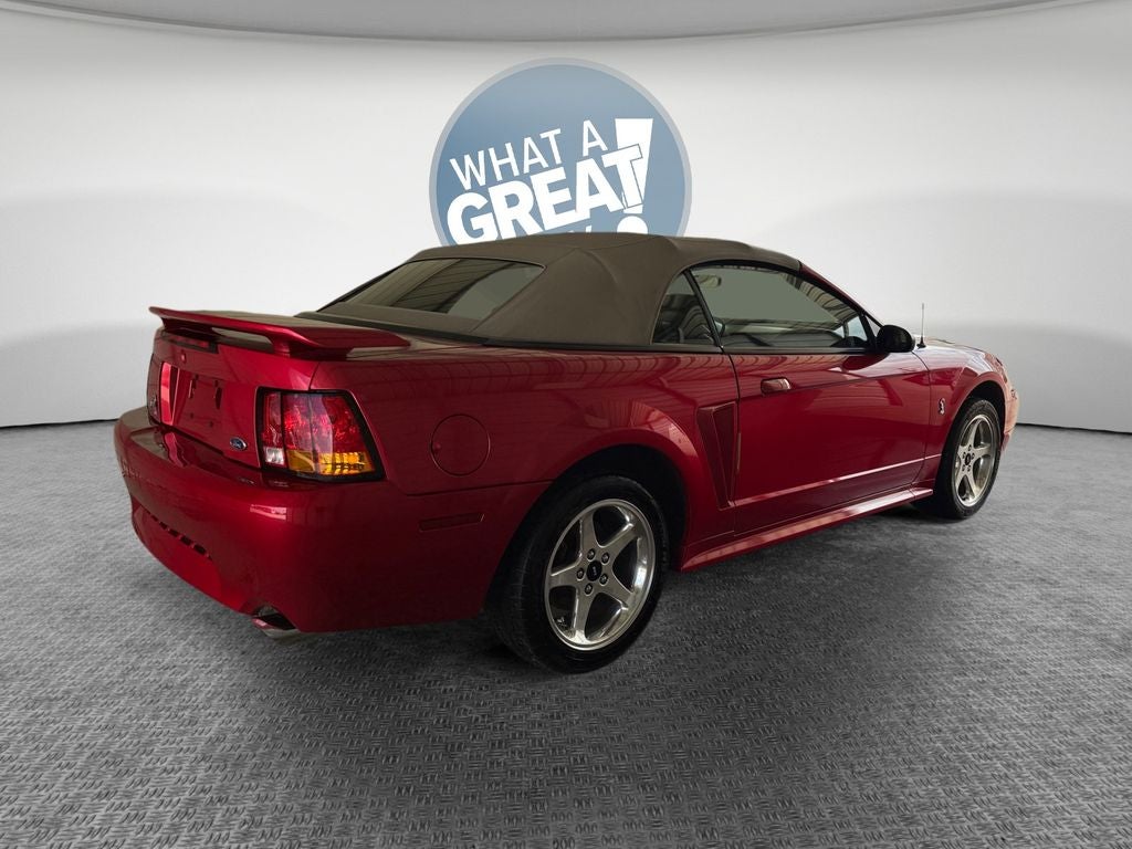2001 Ford Mustang Cobra