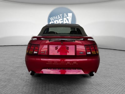 2001 Ford Mustang Cobra