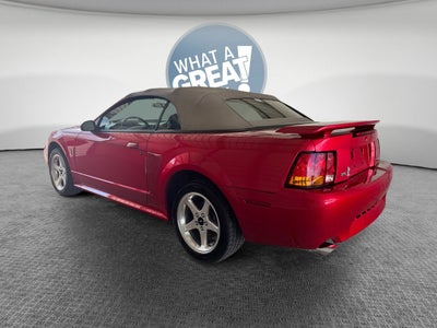 2001 Ford Mustang Cobra