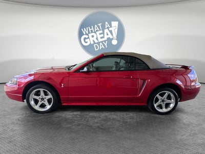 2001 Ford Mustang Cobra