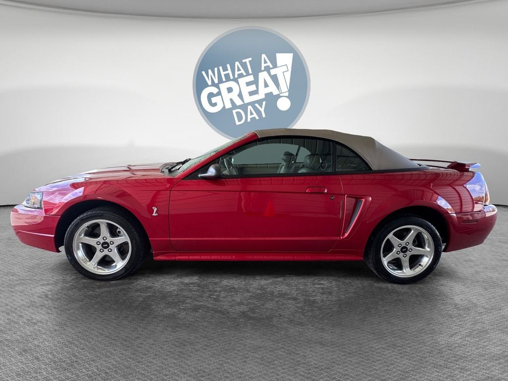 2001 Ford Mustang Cobra