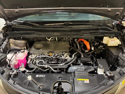 2021 Toyota Sienna XLE 7 Passenger