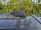 2022 Mitsubishi Outlander Sport 2.0 ES