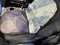 2018 Chrysler Pacifica LX Safely Tech Pkg
