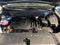 2024 Kia Sorento S PANO RF