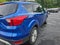 2019 Ford Escape SEL 4WD