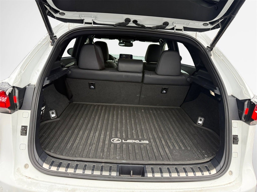 2021 Lexus NX 300 F Sport AWD